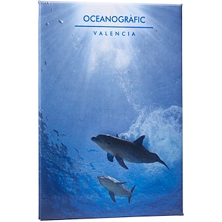 Magnet pour frigidaire Epic 90 x 65 mm