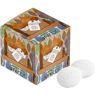 Boîte de pastilles à la menthe Castor