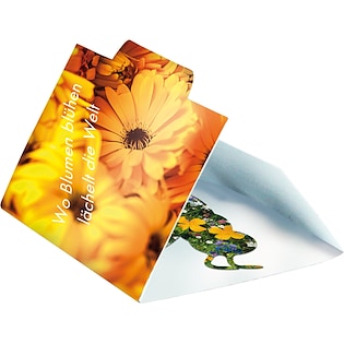 Carte de graines Bumble