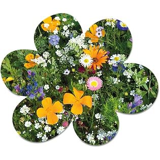 Carte de graines Bloom