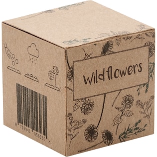 Boules de plantes Dyke