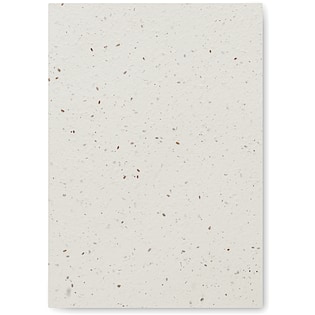 Cahier Ellisville A5