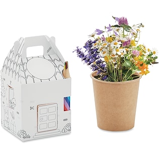 Kit de culture Cillian