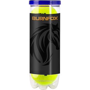 Wilson Roland Garros Tennis Balls