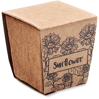 Kit de culture Sunny