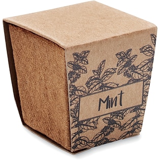 Kit de culture Minty