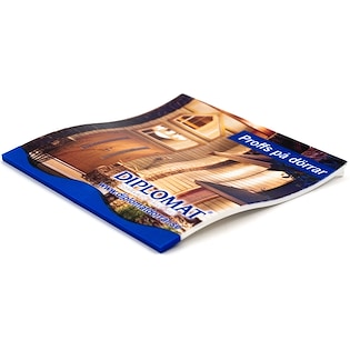 Gratte-givre IceWave