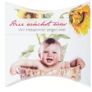 Système végétal Sunshine