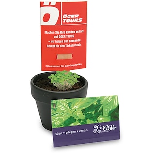 Bâton de graines Holland