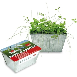 Jardin à herbes Herb