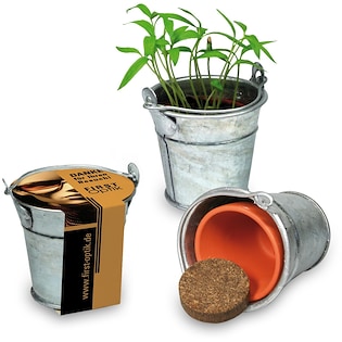 Plante en pot Bucket Mini